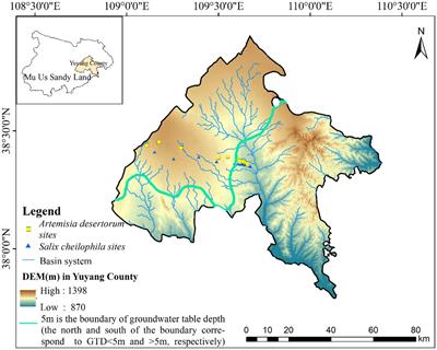 Indirect regulation of topsoil nutrient cycling by groundwater depth: impacts on sand-fixing vegetation and rhizosphere bacterial communities